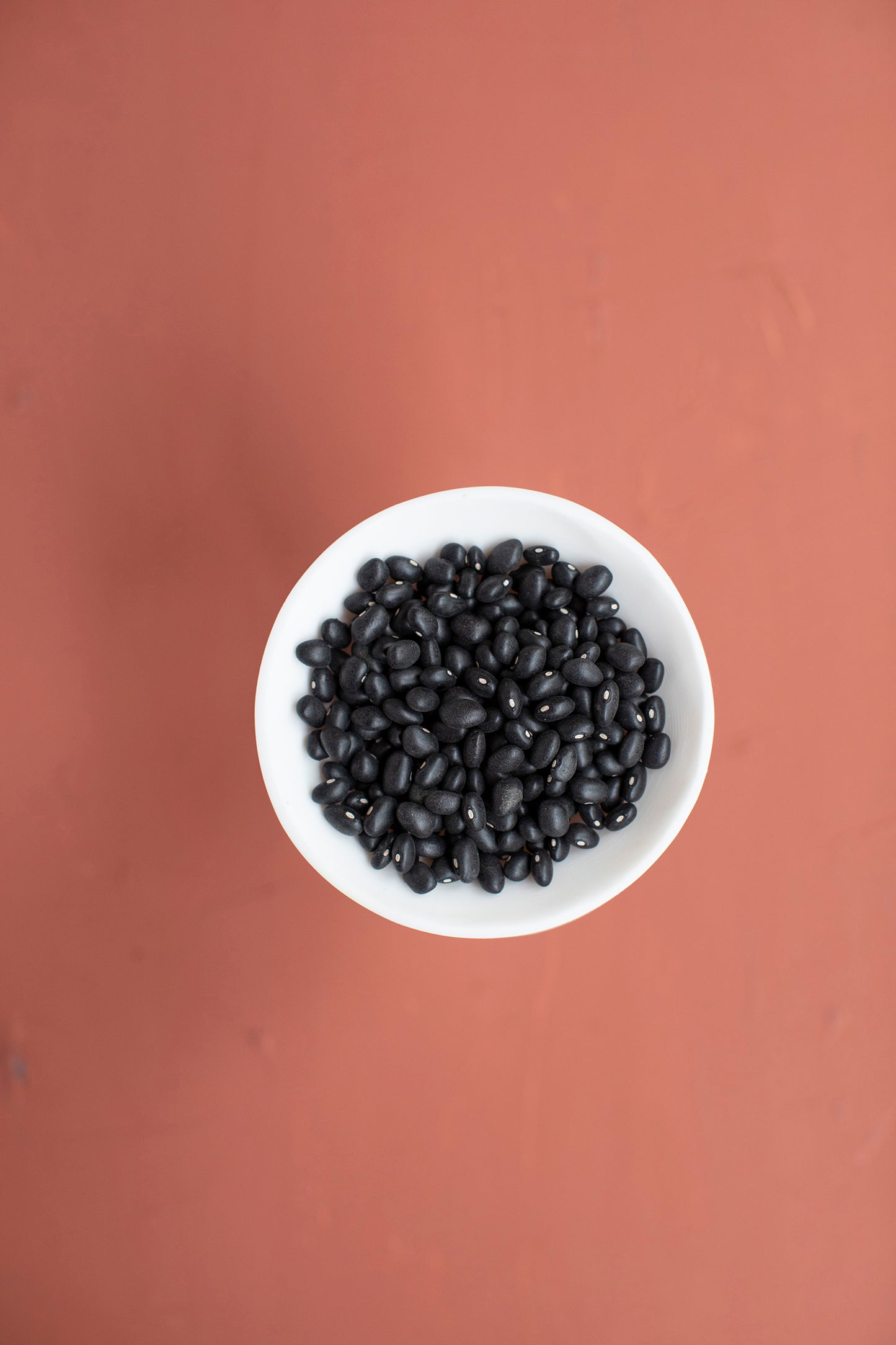 Frijol Negro Americano