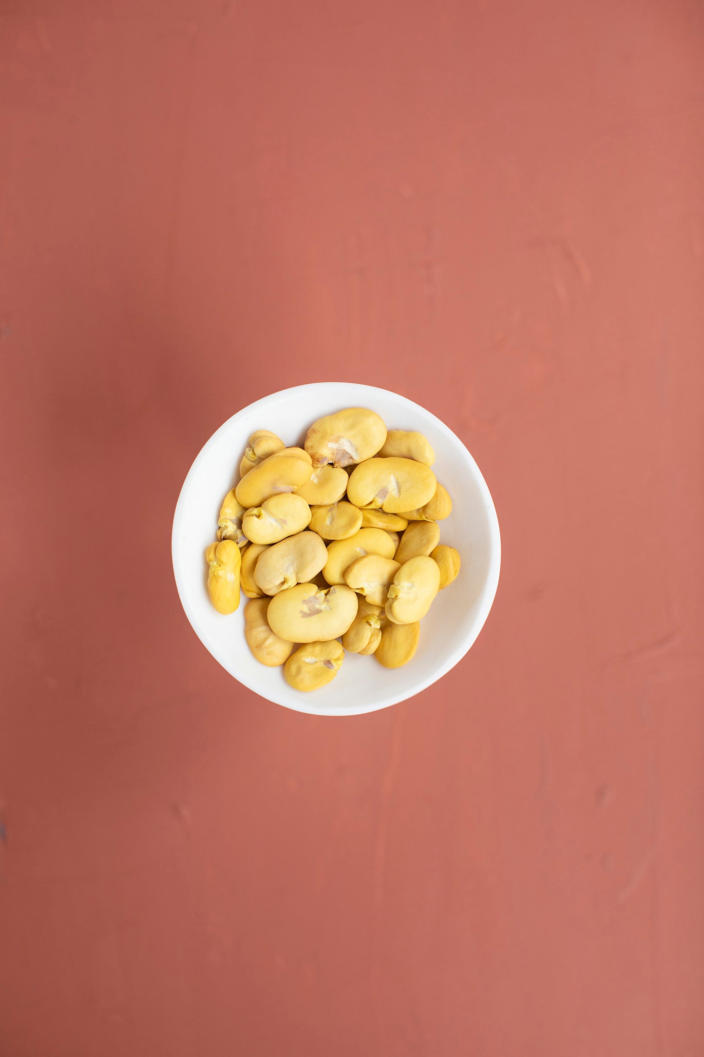Haba Natural S/Cascara